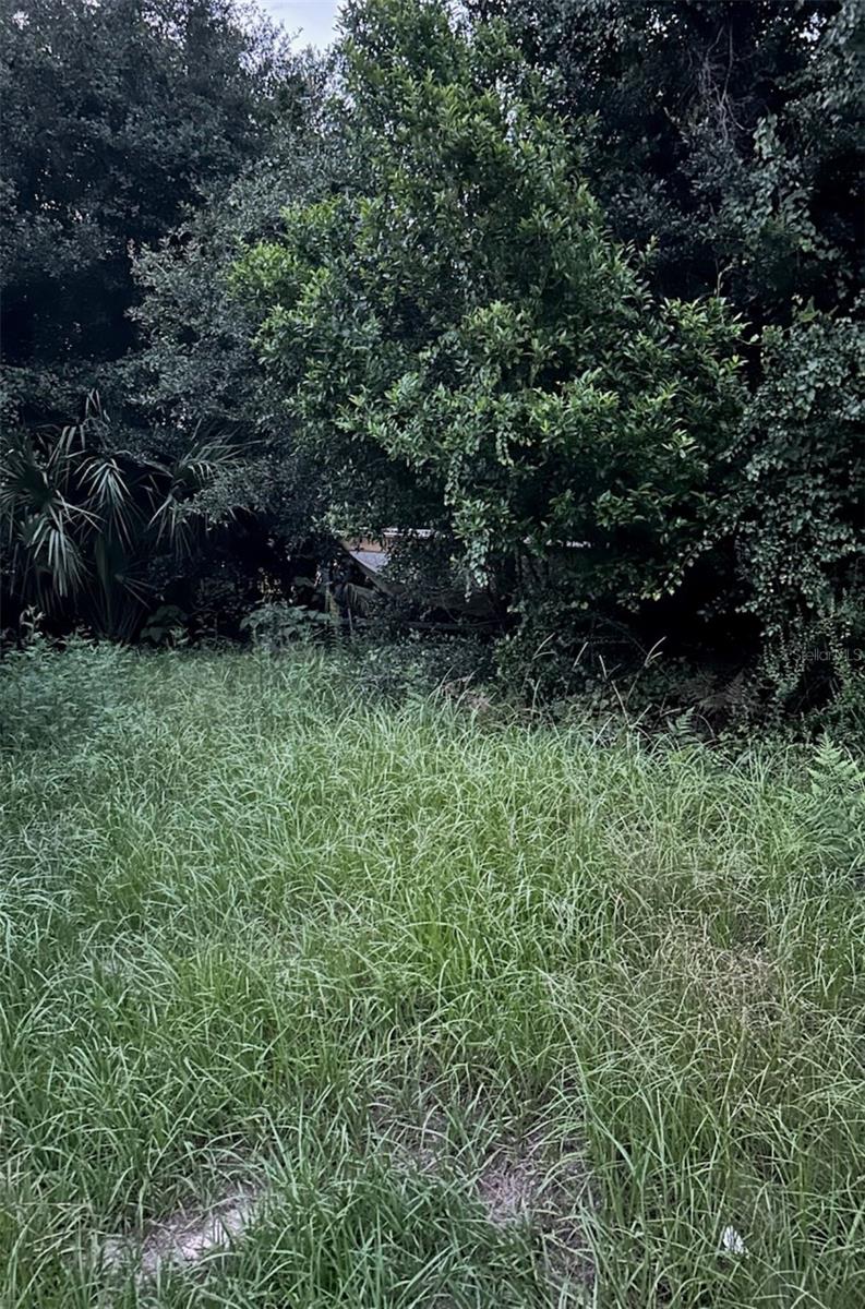 SE 135 LN, UMATILLA, FL, 32784