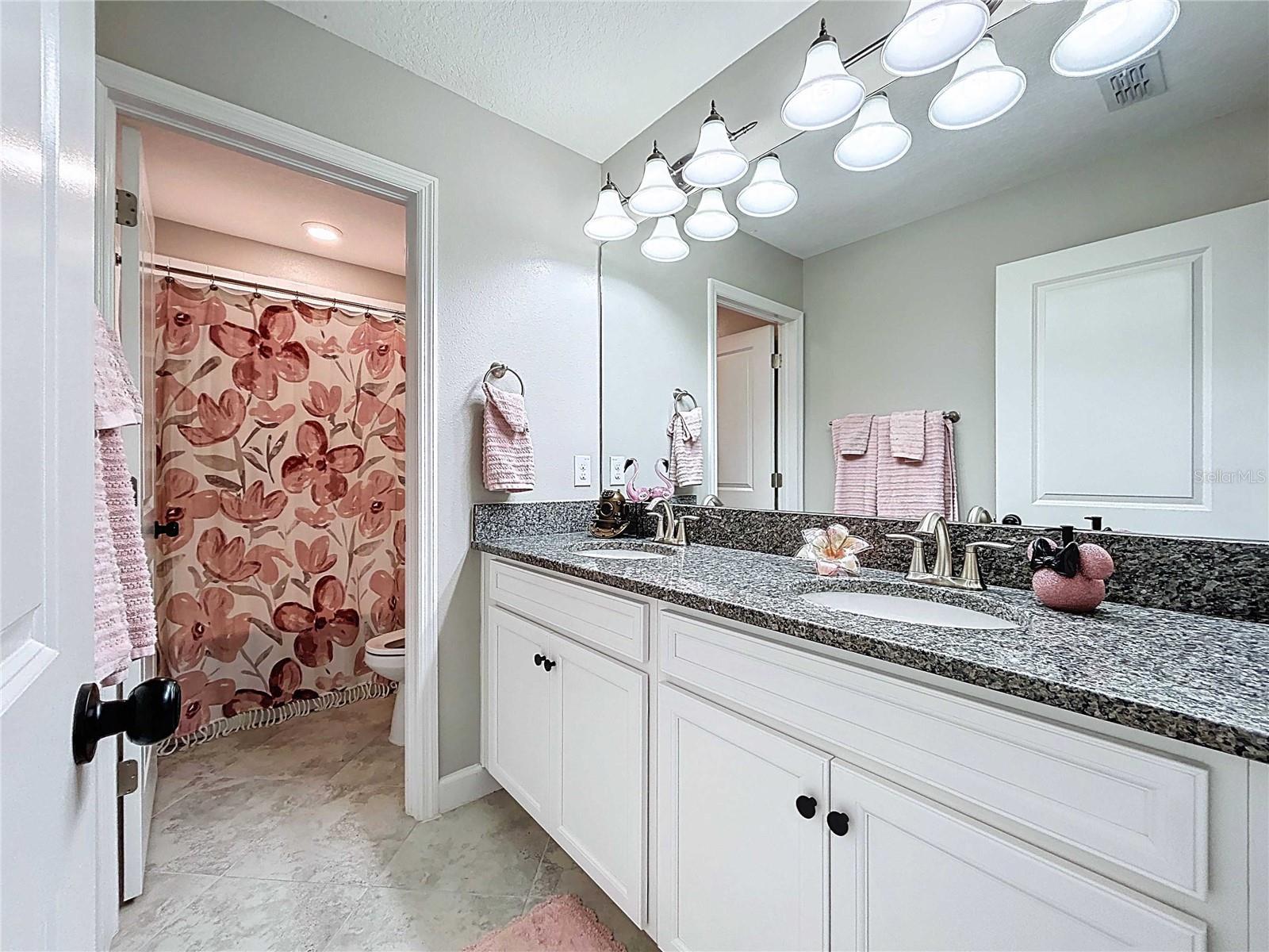 11411 CHILLY WATER CT, RIVERVIEW, FL, 33569