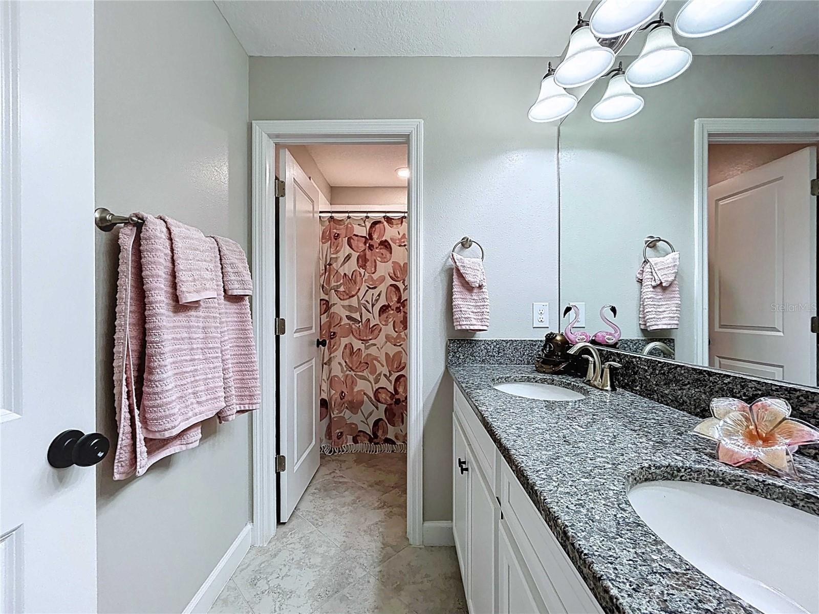 11411 CHILLY WATER CT, RIVERVIEW, FL, 33569