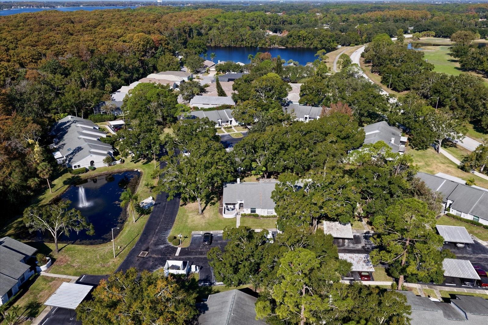 3859 PHEASANT CT, PALM HARBOR, FL, 34685