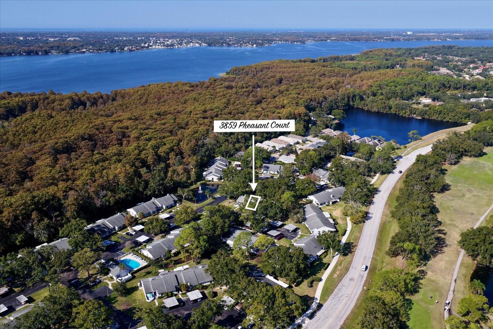 3859 PHEASANT CT, PALM HARBOR, FL, 34685