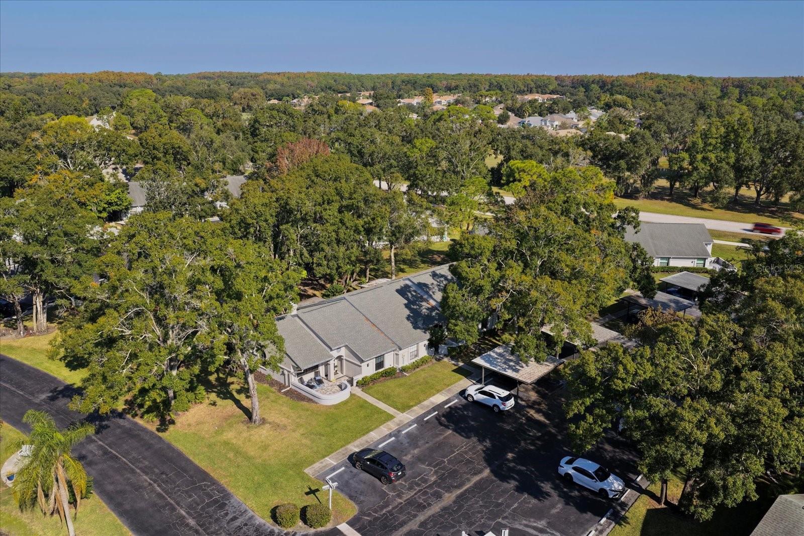 3859 PHEASANT CT, PALM HARBOR, FL, 34685