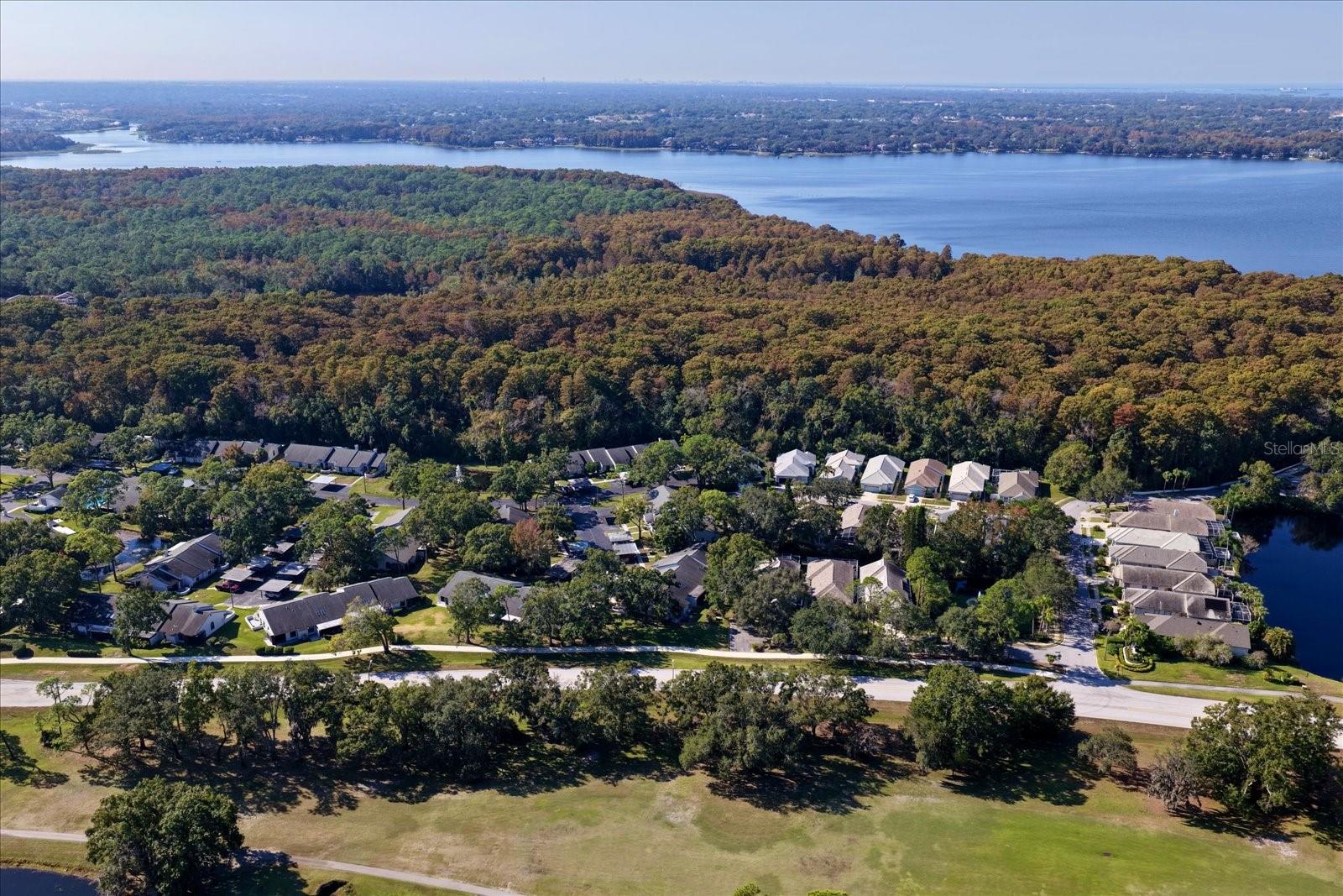 3859 PHEASANT CT, PALM HARBOR, FL, 34685