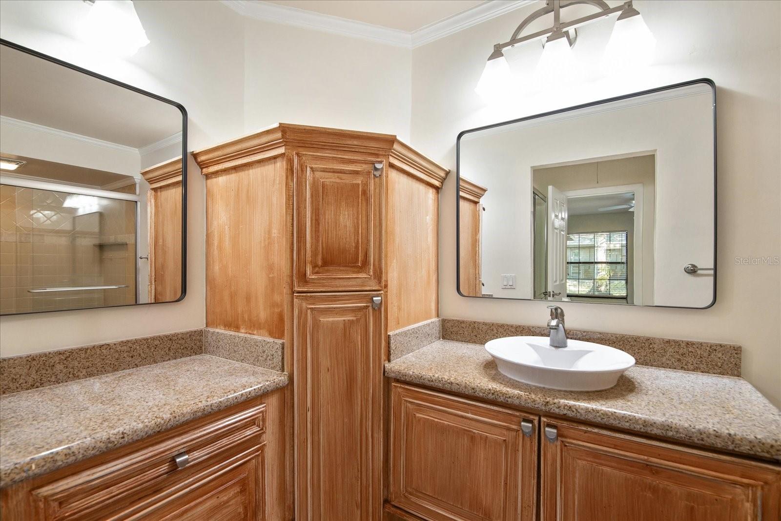 3859 PHEASANT CT, PALM HARBOR, FL, 34685