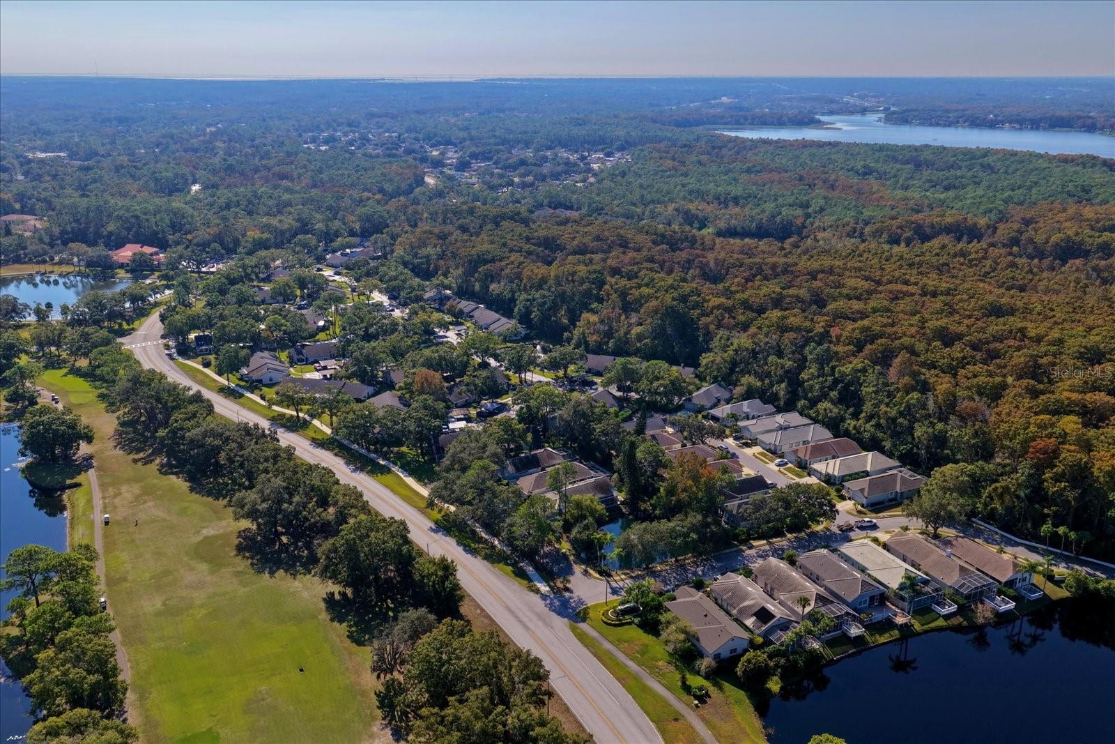 3859 PHEASANT CT, PALM HARBOR, FL, 34685