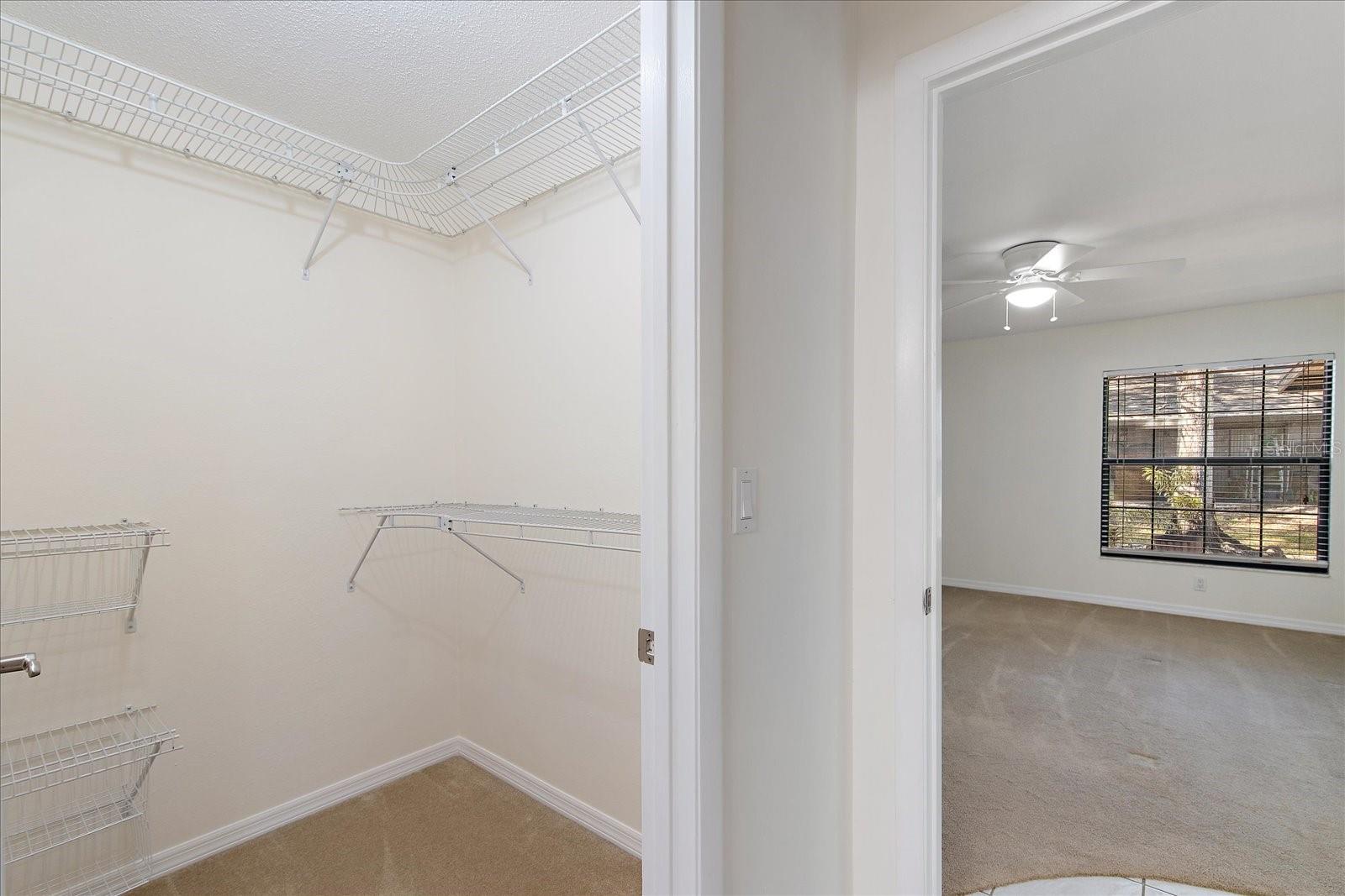 3859 PHEASANT CT, PALM HARBOR, FL, 34685