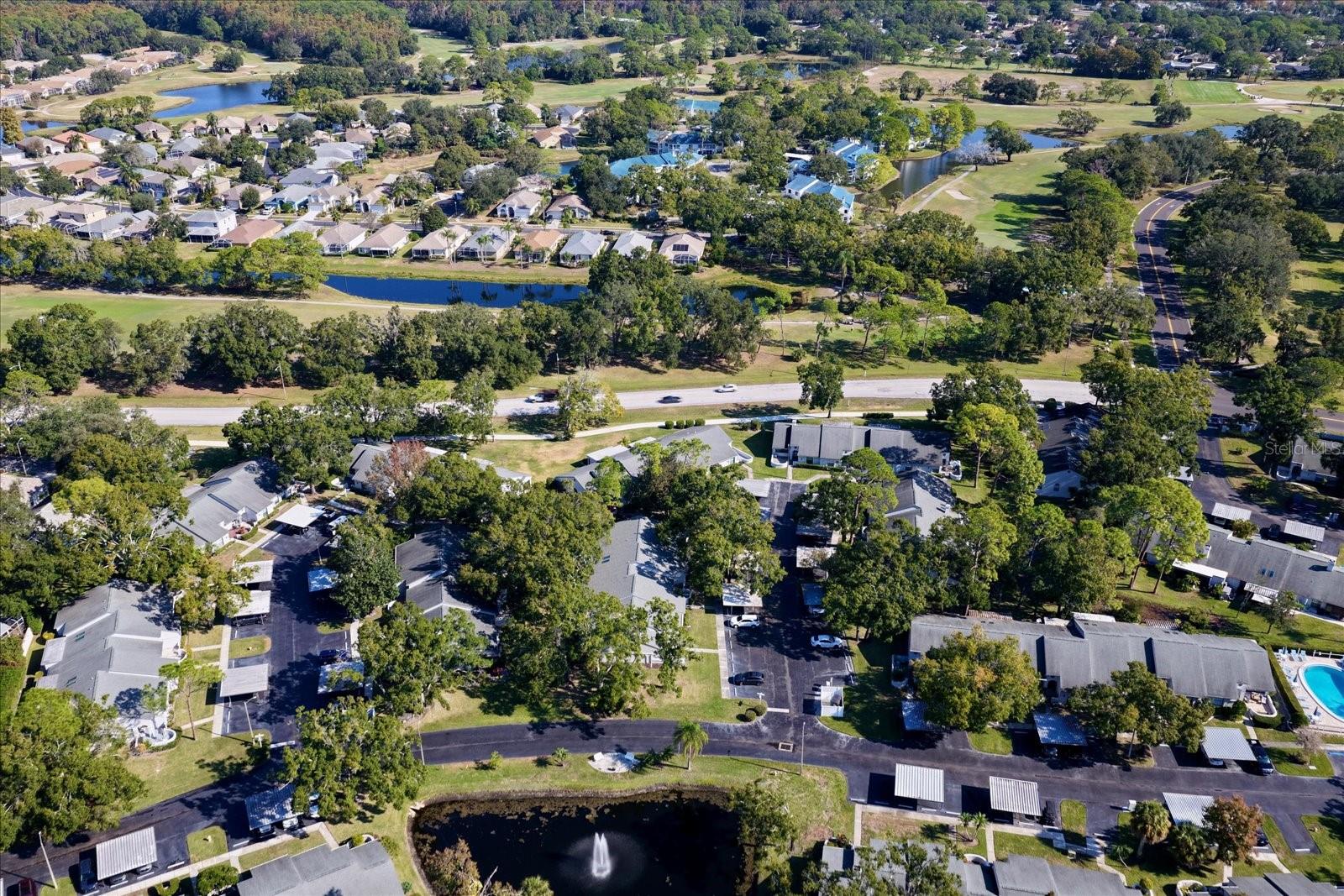 3859 PHEASANT CT, PALM HARBOR, FL, 34685