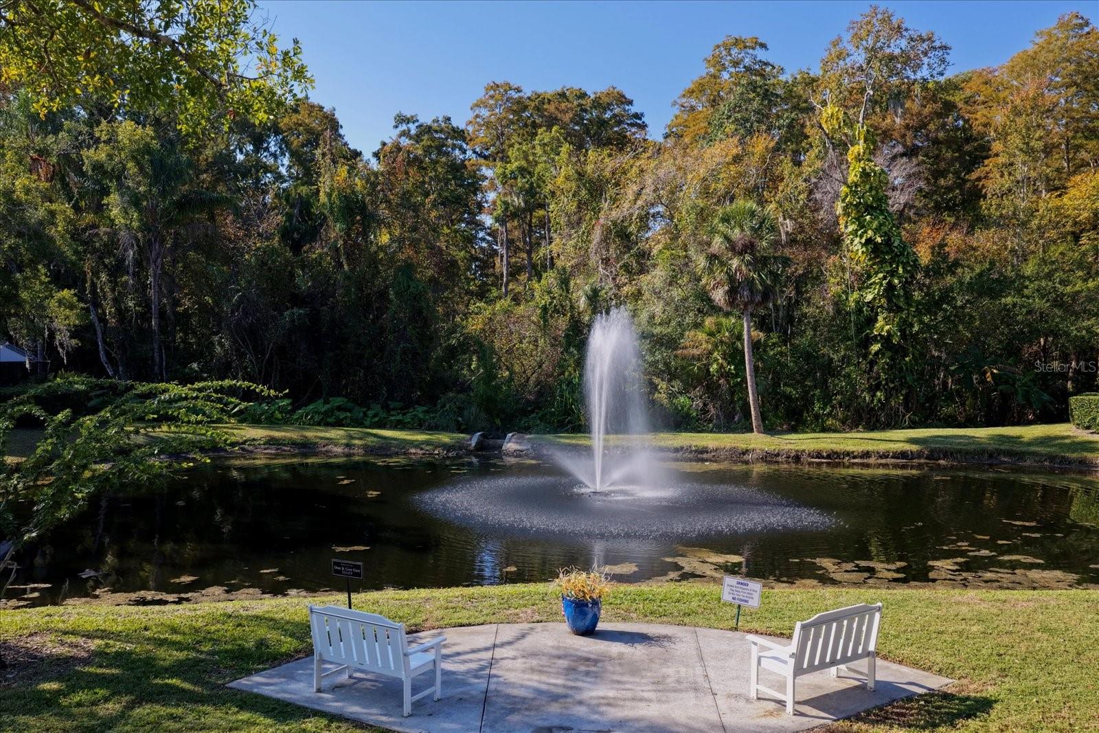 3859 PHEASANT CT, PALM HARBOR, FL, 34685