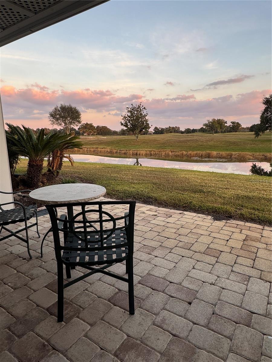 4786 FOX HUNT DR #D743, WESLEY CHAPEL, FL, 33543