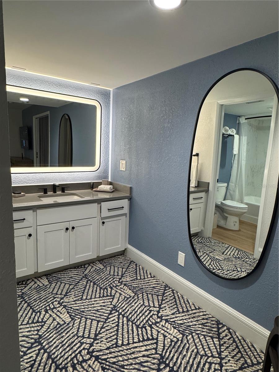 4786 FOX HUNT DR #D743, WESLEY CHAPEL, FL, 33543