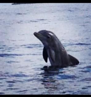 1030 CANAL ST, RUSKIN, FL, 33570