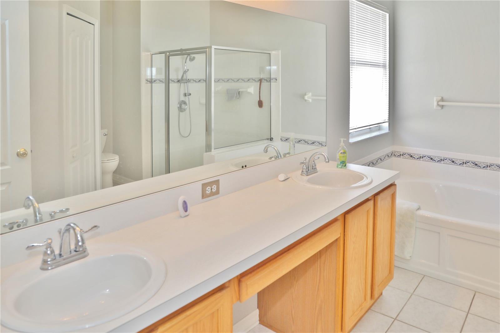 10224 GRANT CREEK DR, TAMPA, FL, 33647