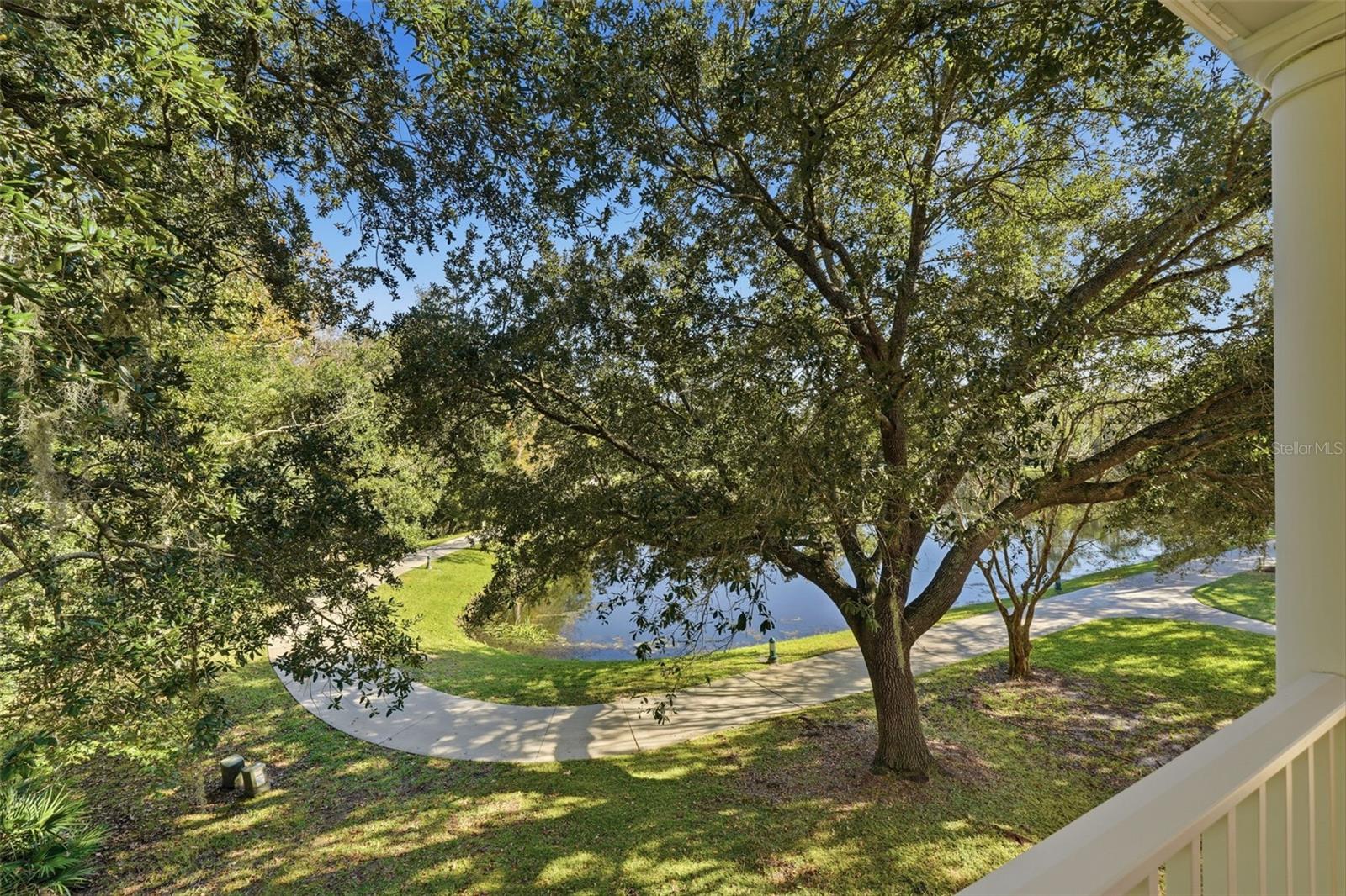 815 LAKE EVALYN DR, CELEBRATION, FL, 34747