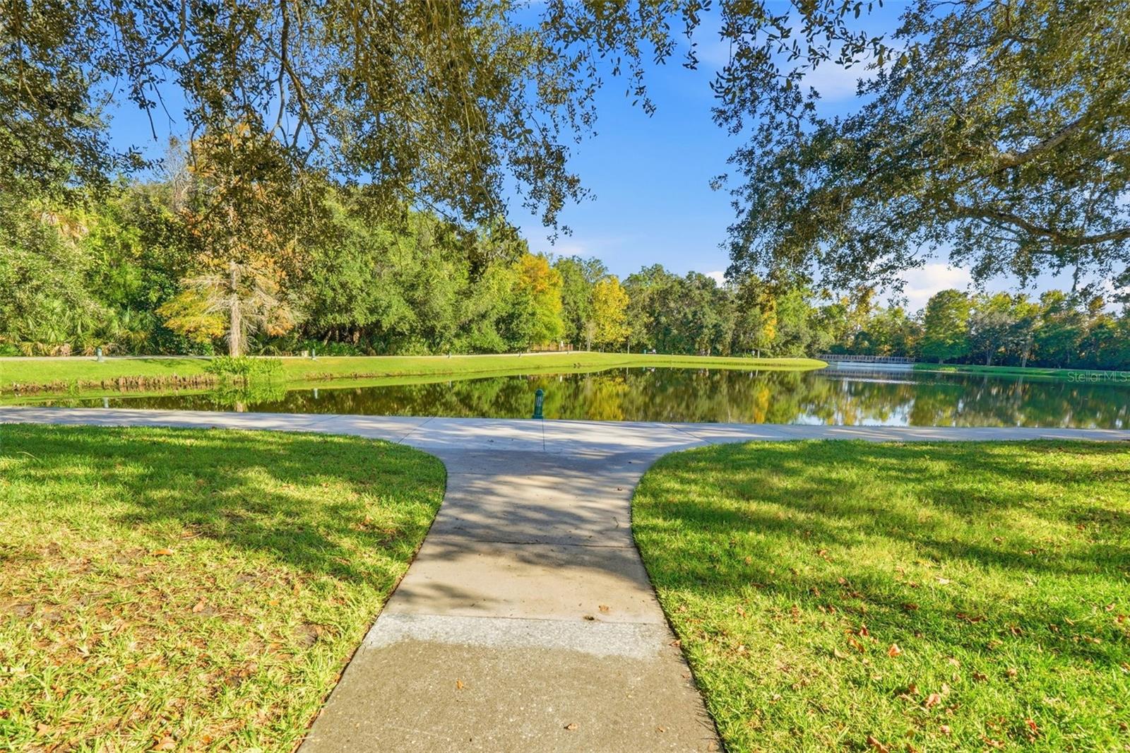 815 LAKE EVALYN DR, CELEBRATION, FL, 34747