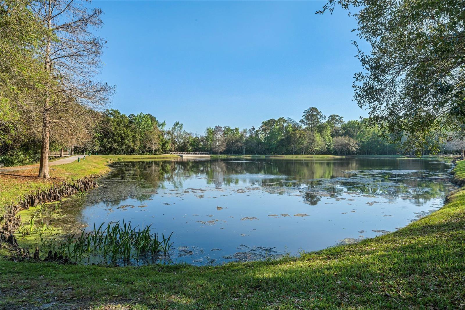 815 LAKE EVALYN DR, CELEBRATION, FL, 34747