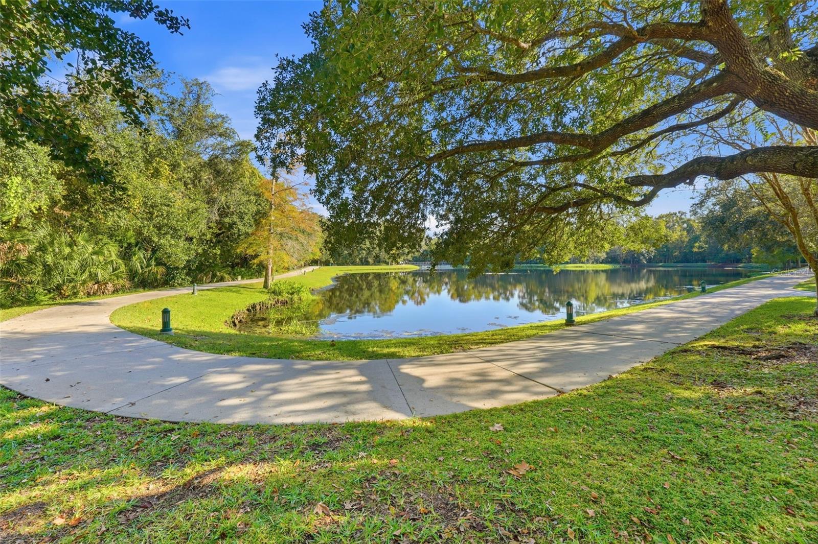 815 LAKE EVALYN DR, CELEBRATION, FL, 34747