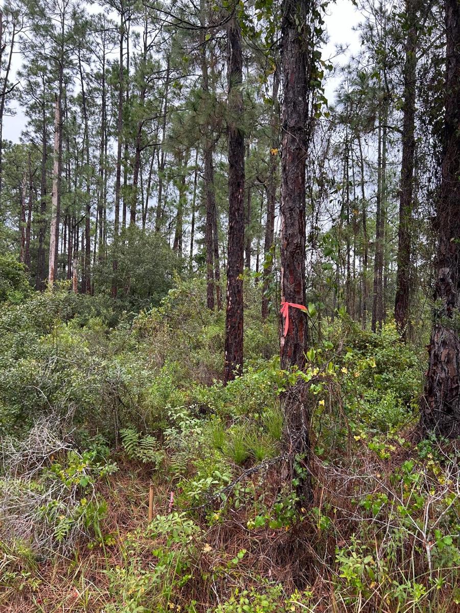 2811 53RD ST W, LEHIGH ACRES, FL, 33971