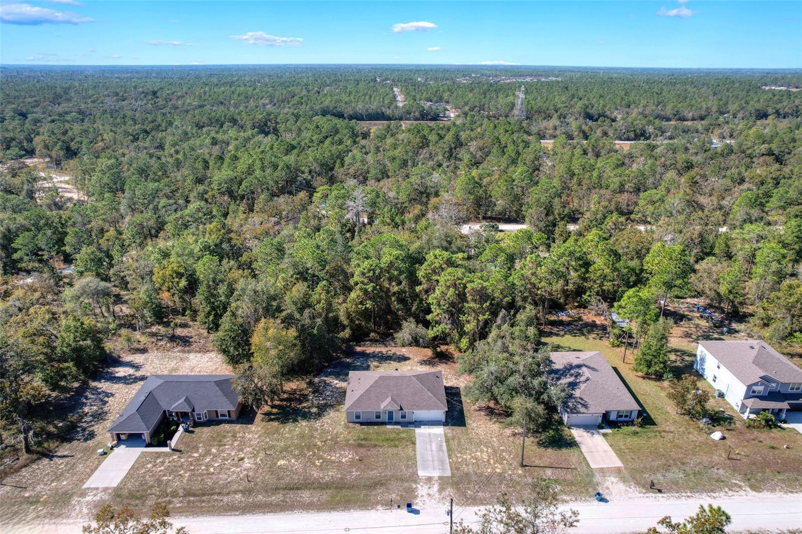 16061 CAVE SWALLOW RD, BROOKSVILLE, FL, 34614