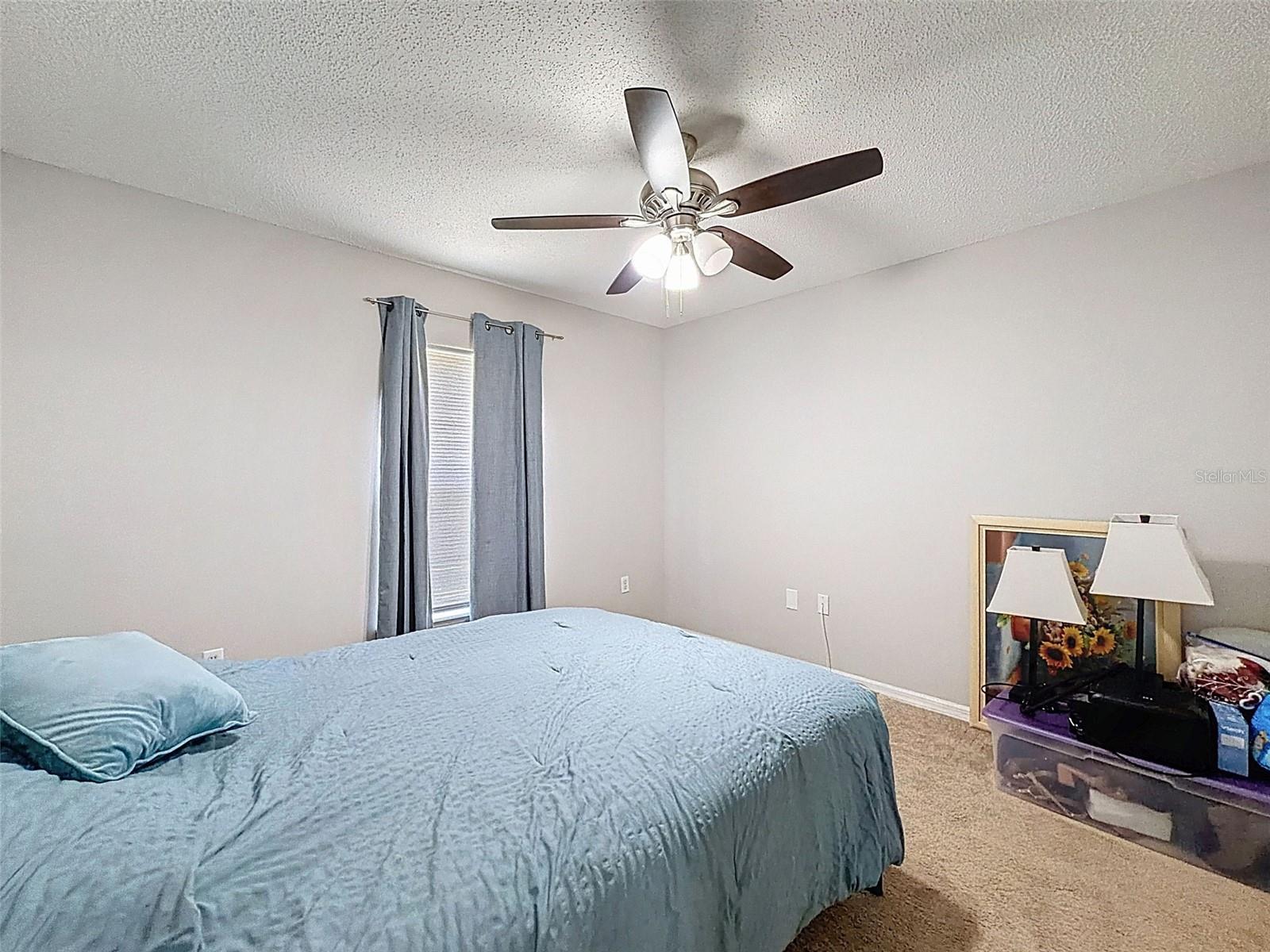 16061 CAVE SWALLOW RD, BROOKSVILLE, FL, 34614