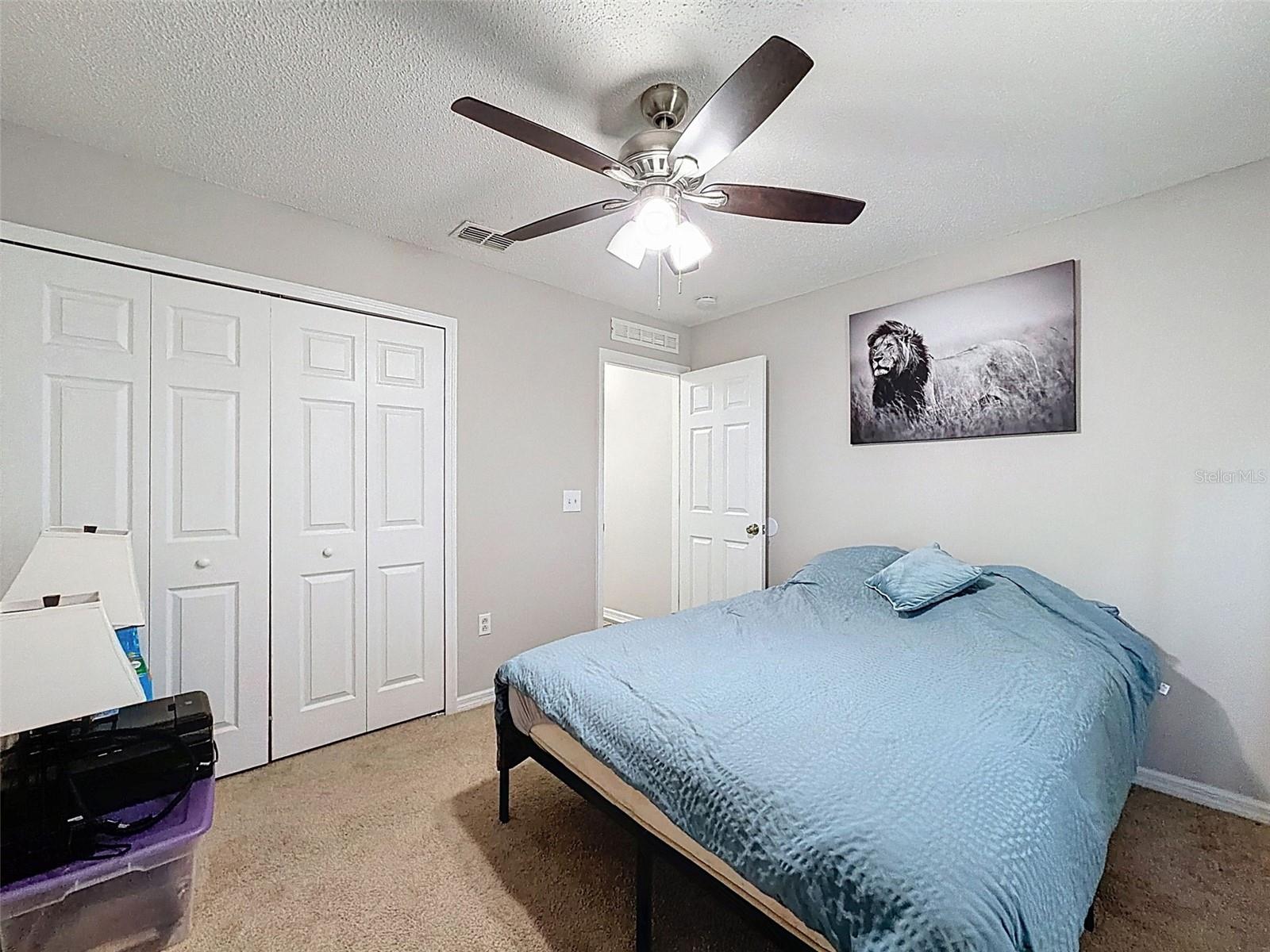 16061 CAVE SWALLOW RD, BROOKSVILLE, FL, 34614