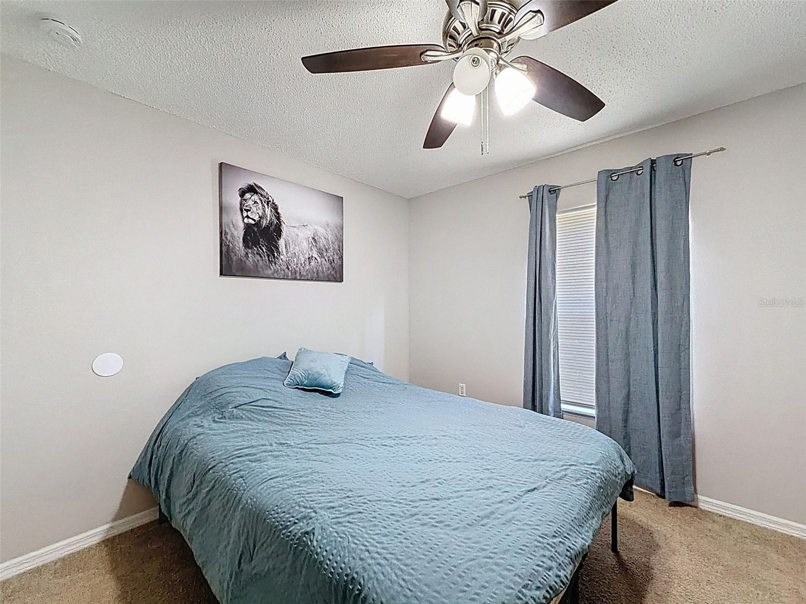 16061 CAVE SWALLOW RD, BROOKSVILLE, FL, 34614