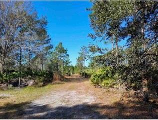 1448 BLEASE AVE, ORLANDO, FL, 32833