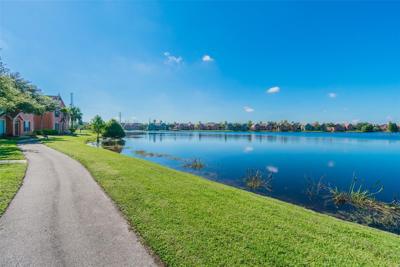 10462 WHITE LAKE CT, TAMPA, FL, 33626