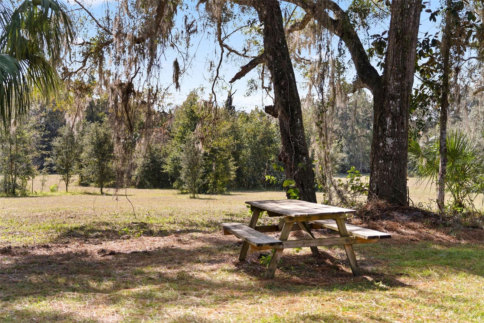 15218 NORRIS BISHOP LOOP, BROOKSVILLE, FL, 34614