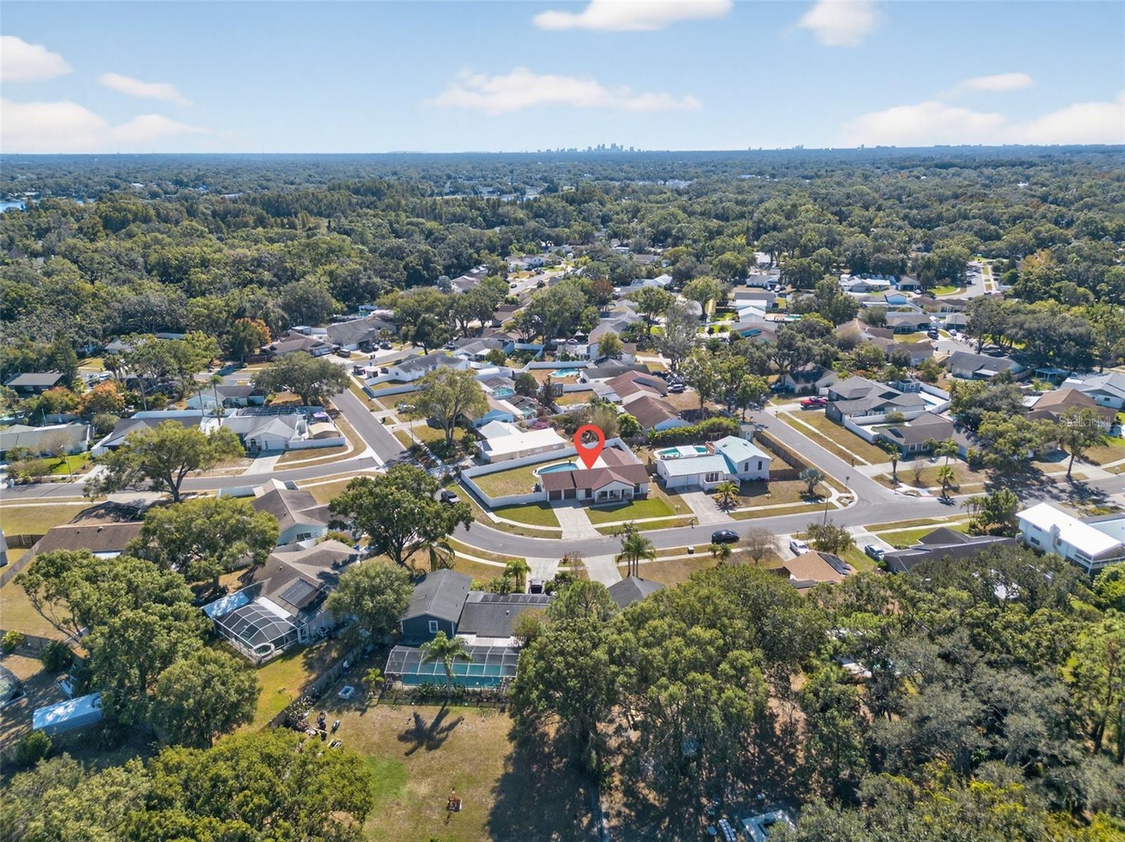 13933 CHERRY CREEK DR, TAMPA, FL, 33618