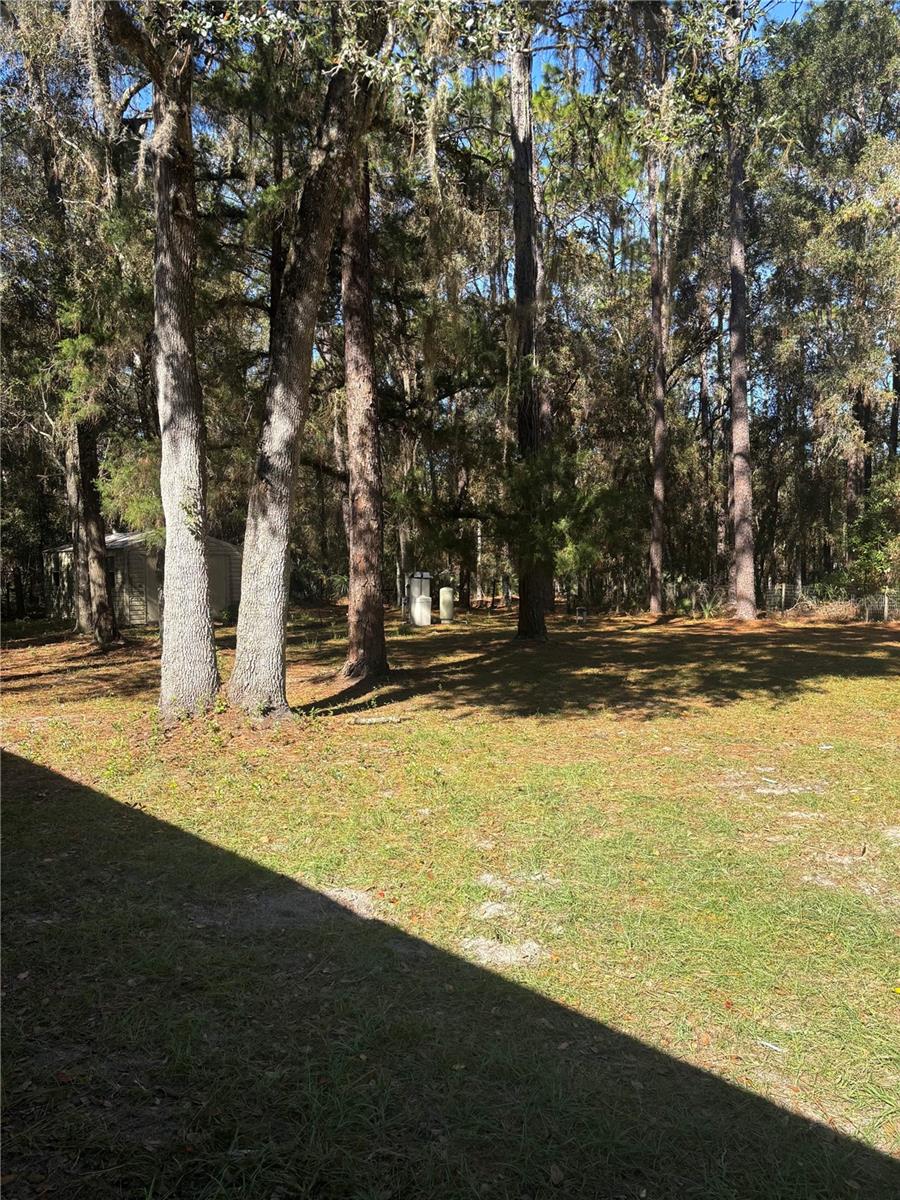 20305 GAMBLE DR, BROOKSVILLE, FL, 34601