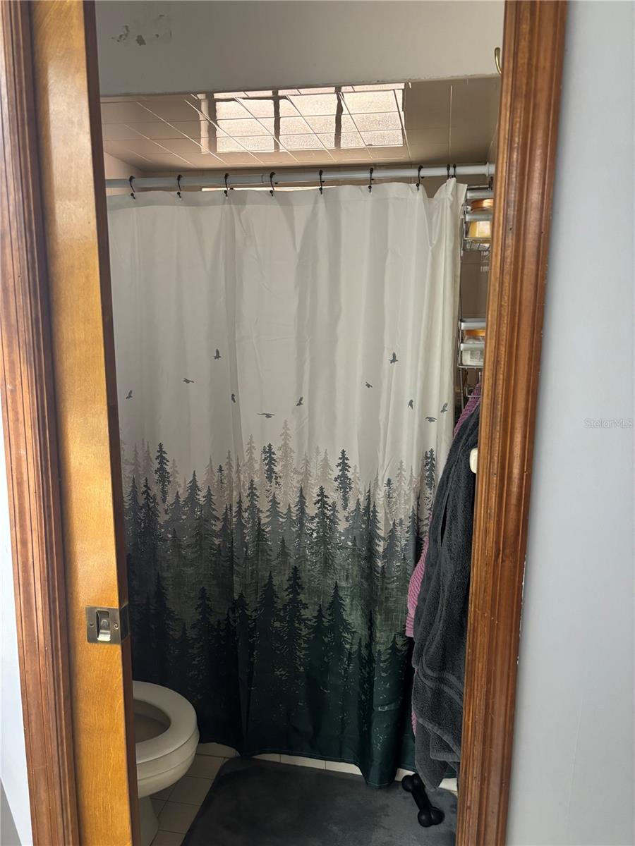 20305 GAMBLE DR, BROOKSVILLE, FL, 34601