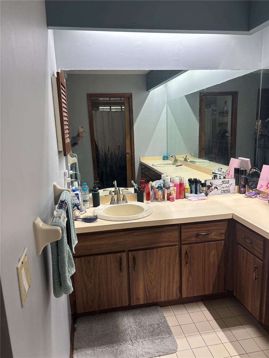 20305 GAMBLE DR, BROOKSVILLE, FL, 34601