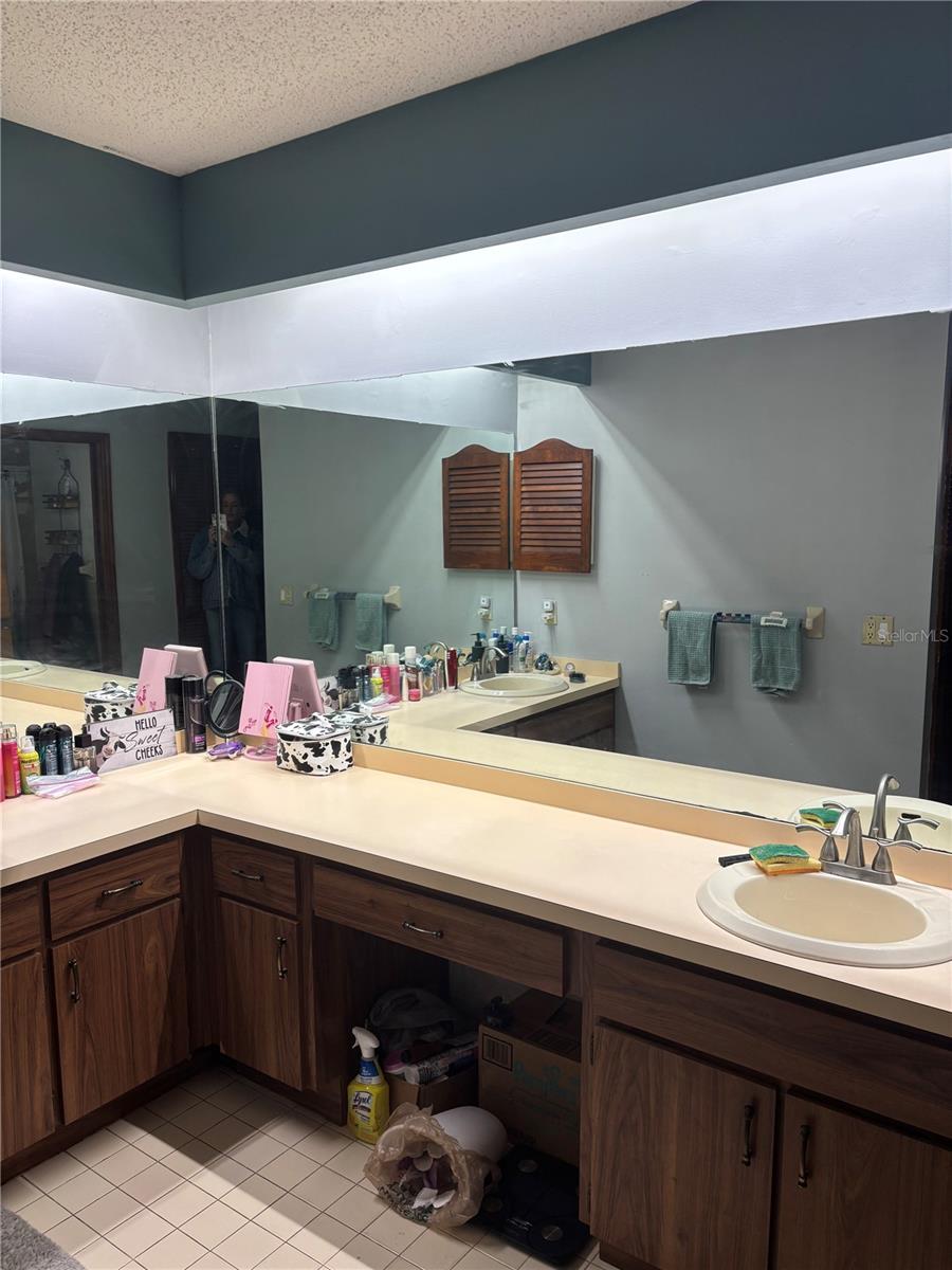 20305 GAMBLE DR, BROOKSVILLE, FL, 34601