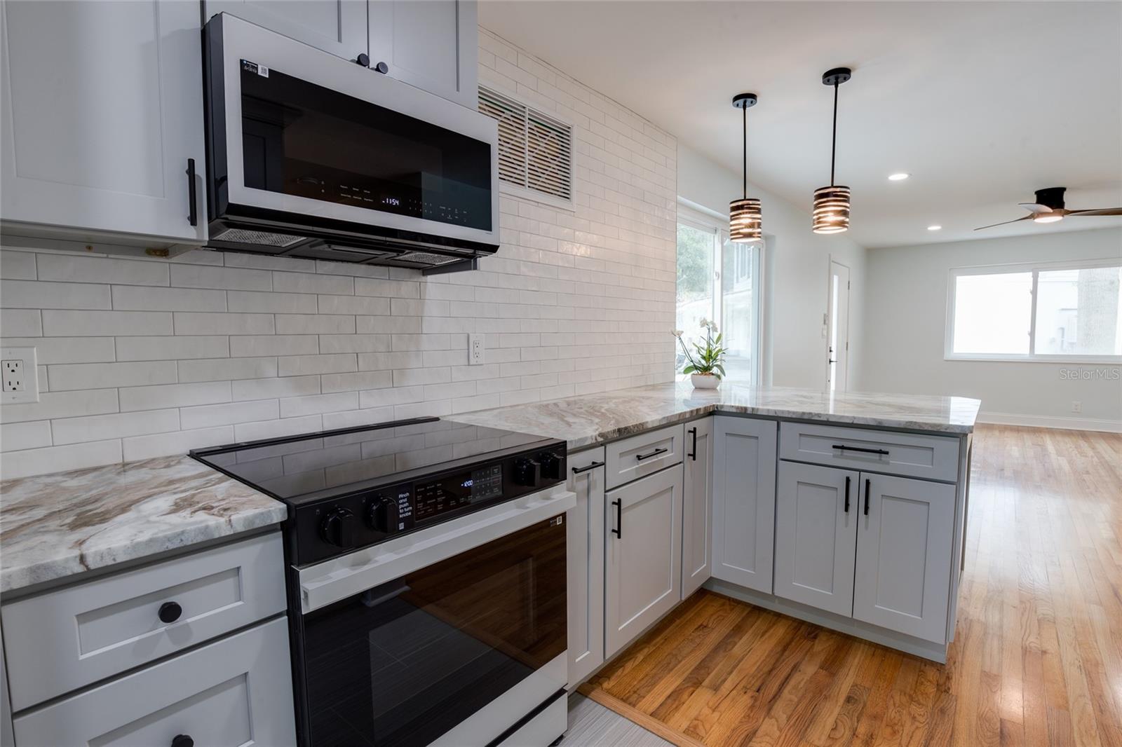 229 LIME CIR S, DUNEDIN, FL, 34698