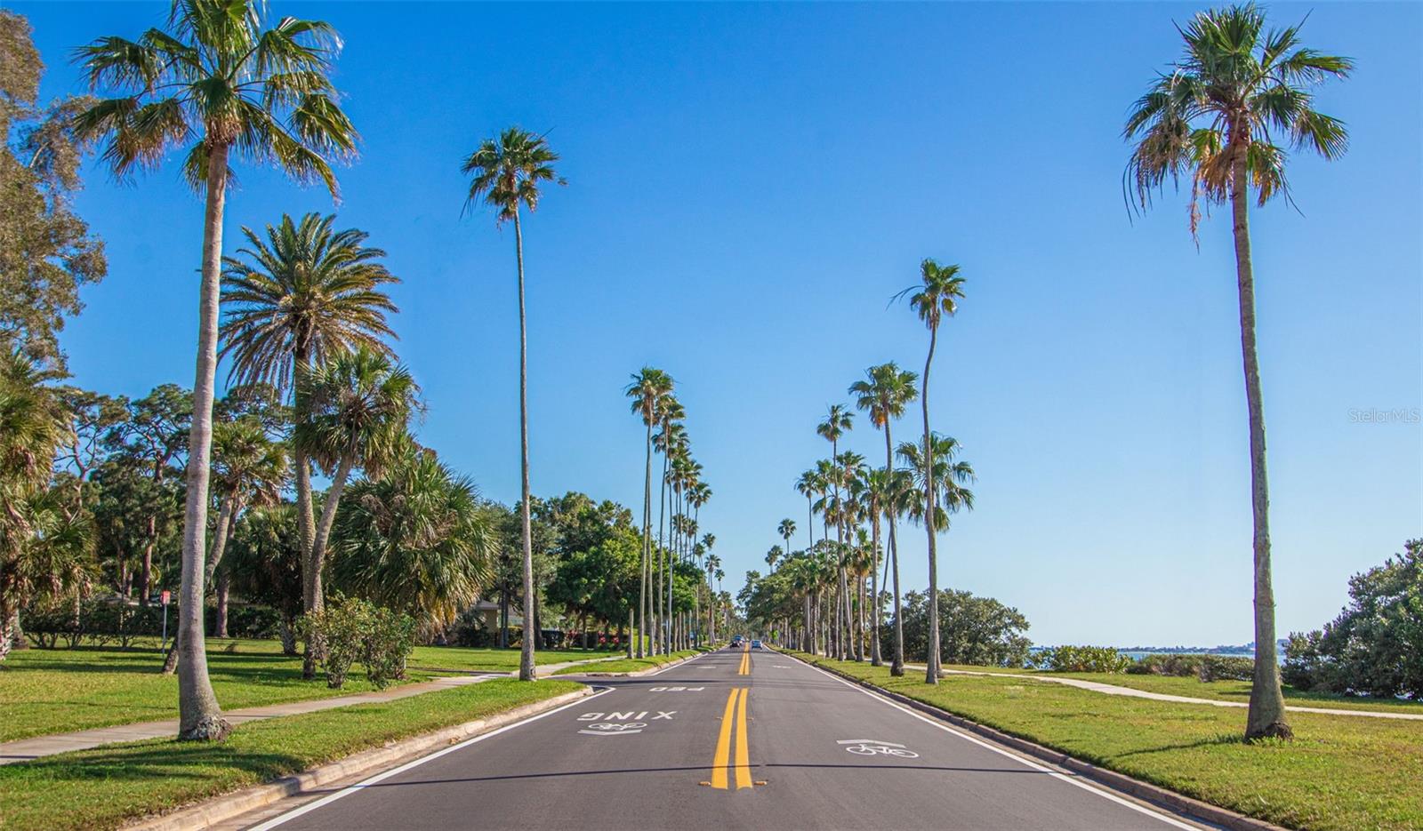 229 LIME CIR S, DUNEDIN, FL, 34698