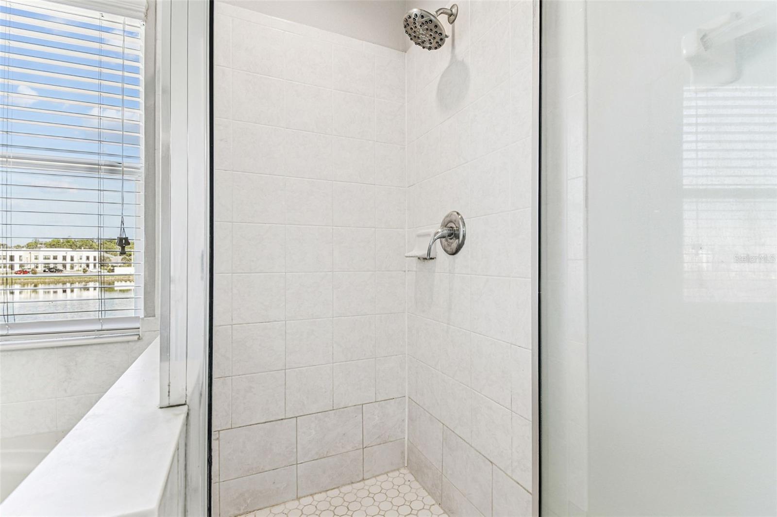 11651 DECLARATION DR, TAMPA, FL, 33635