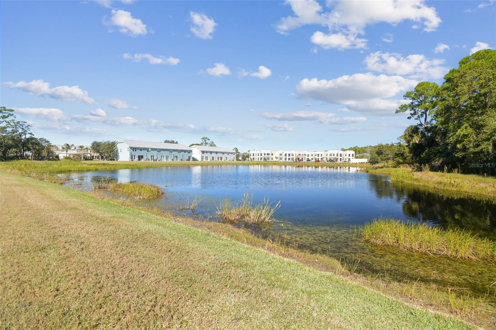 11651 DECLARATION DR, TAMPA, FL, 33635