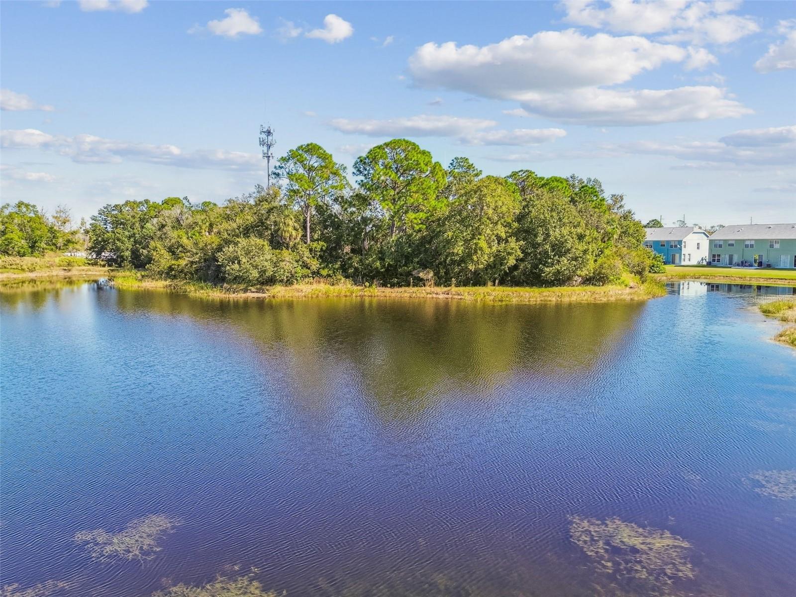 11651 DECLARATION DR, TAMPA, FL, 33635