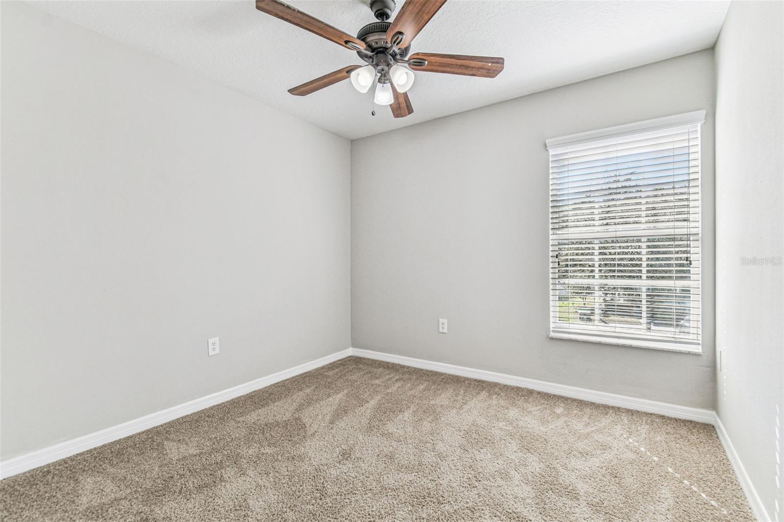 11651 DECLARATION DR, TAMPA, FL, 33635