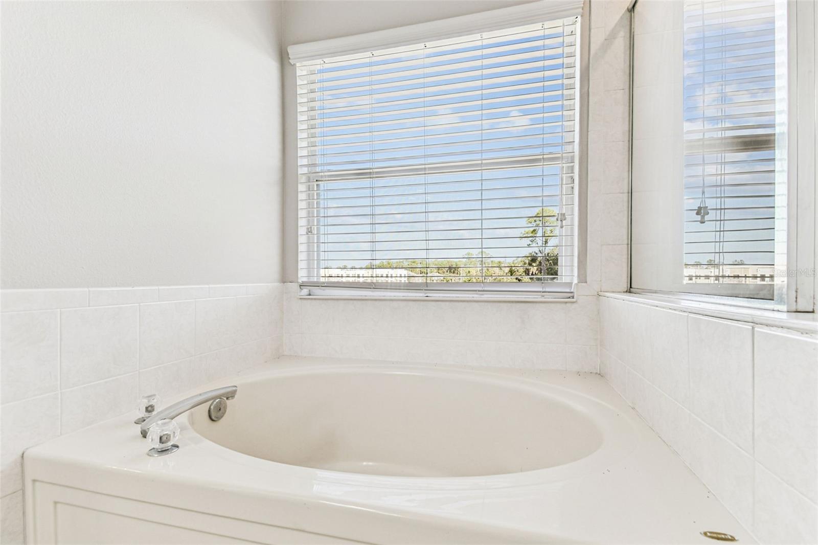 11651 DECLARATION DR, TAMPA, FL, 33635