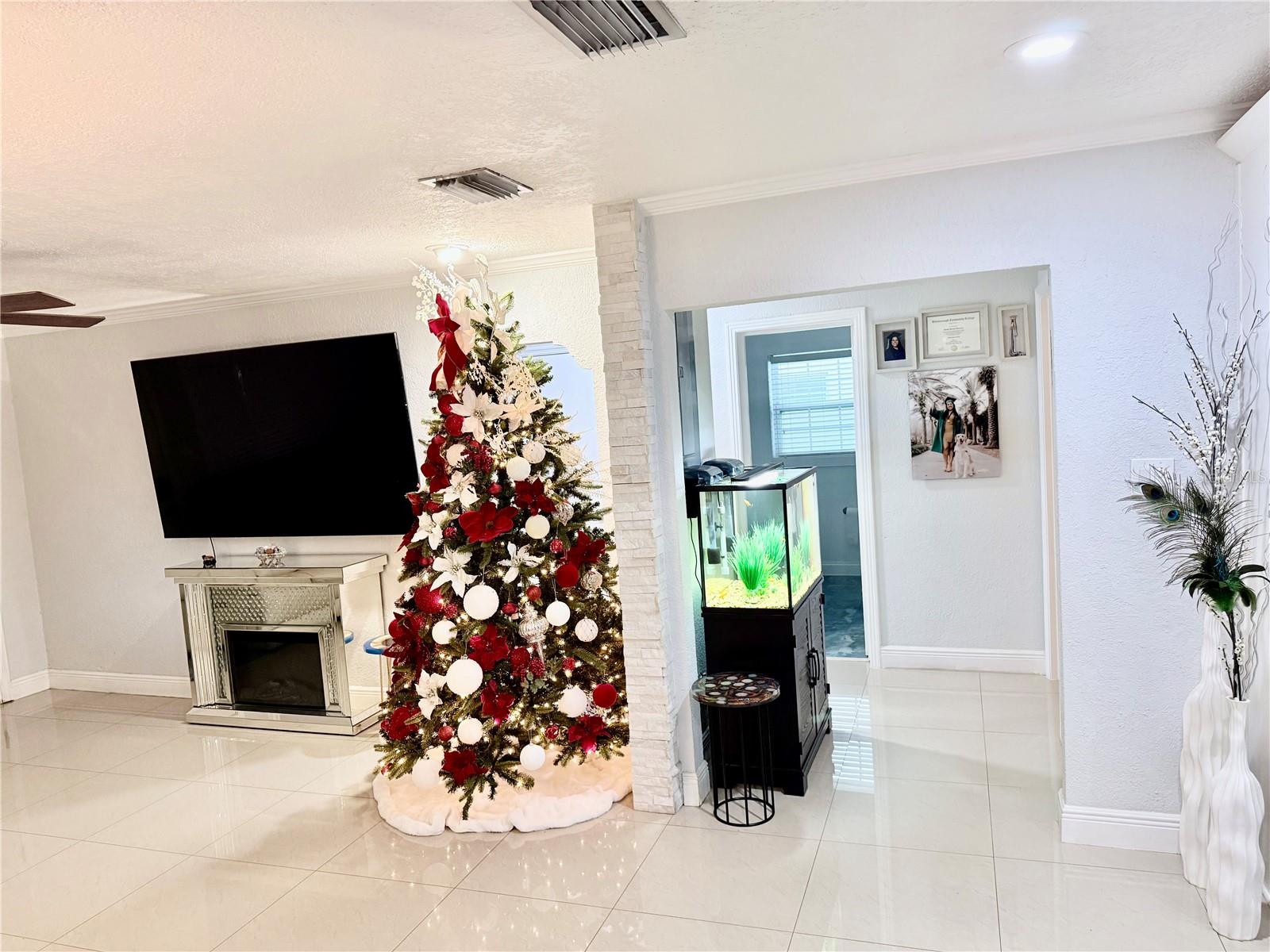 2719 W BRADDOCK ST, TAMPA, FL, 33607