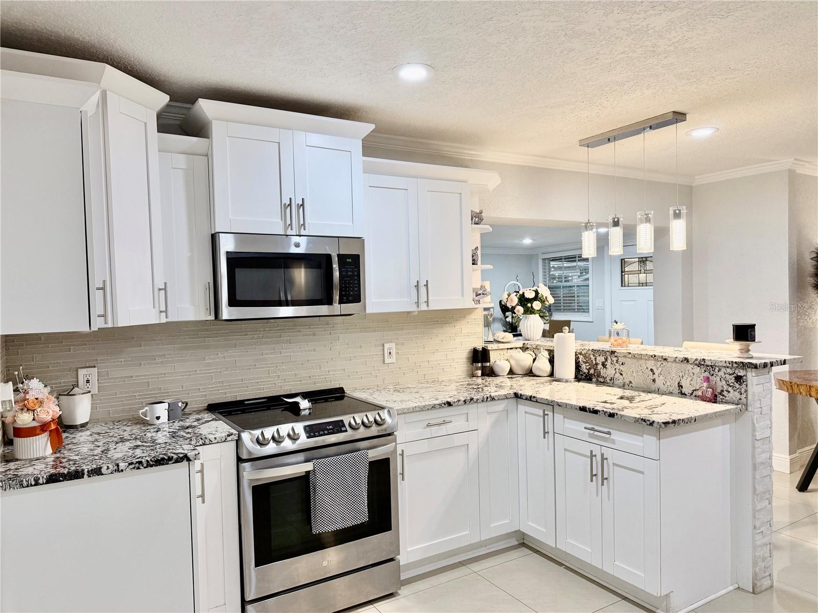 2719 W BRADDOCK ST, TAMPA, FL, 33607