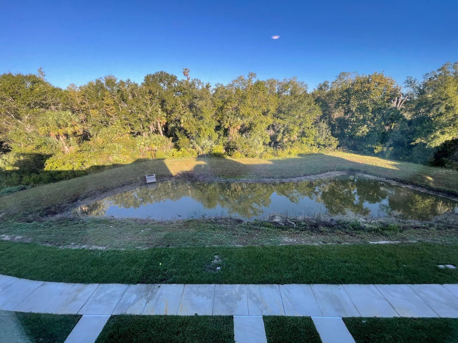 3477 WILDFLOWER VALLEY LN, WESLEY CHAPEL, FL, 33543