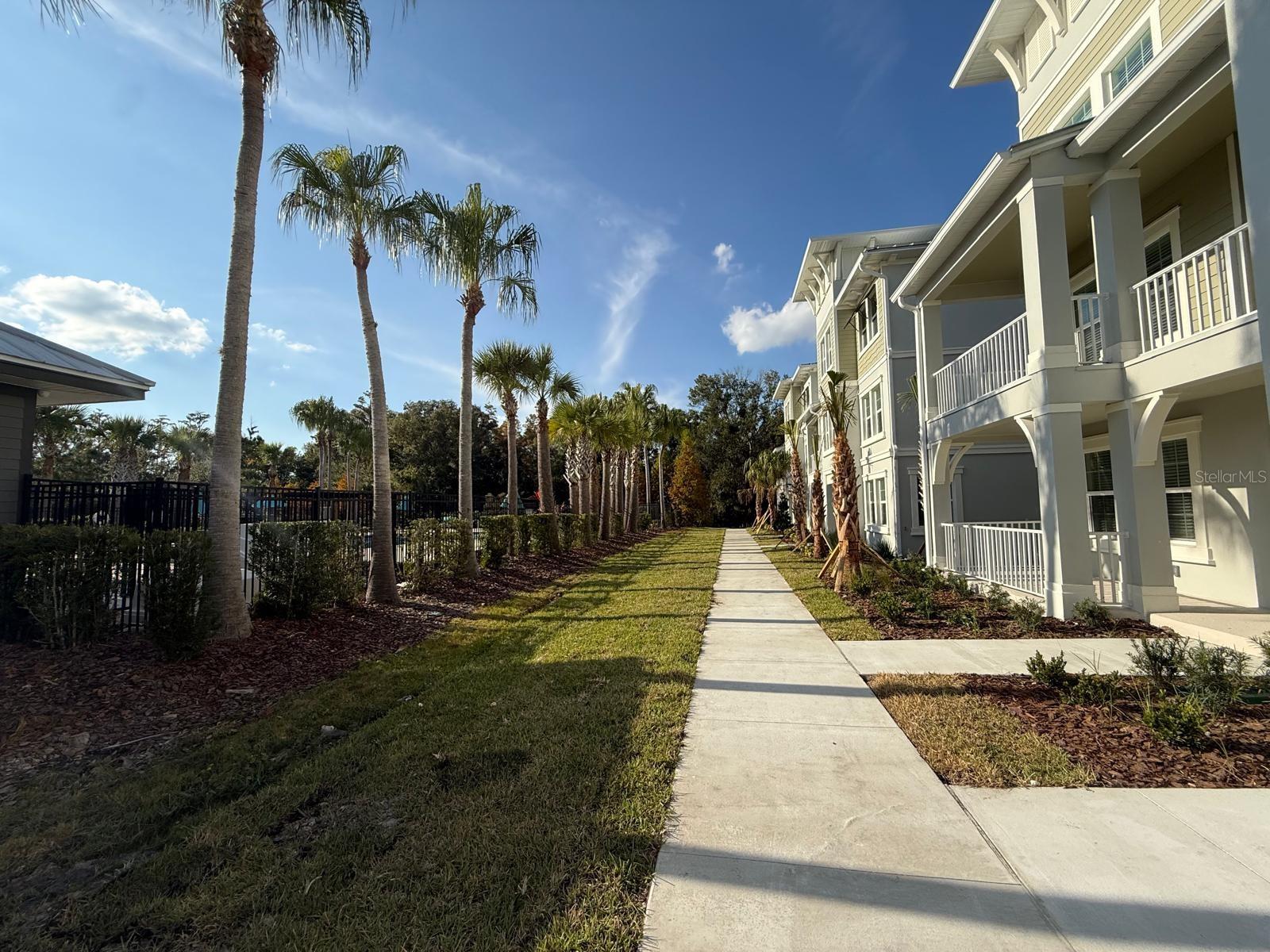 3477 WILDFLOWER VALLEY LN, WESLEY CHAPEL, FL, 33543