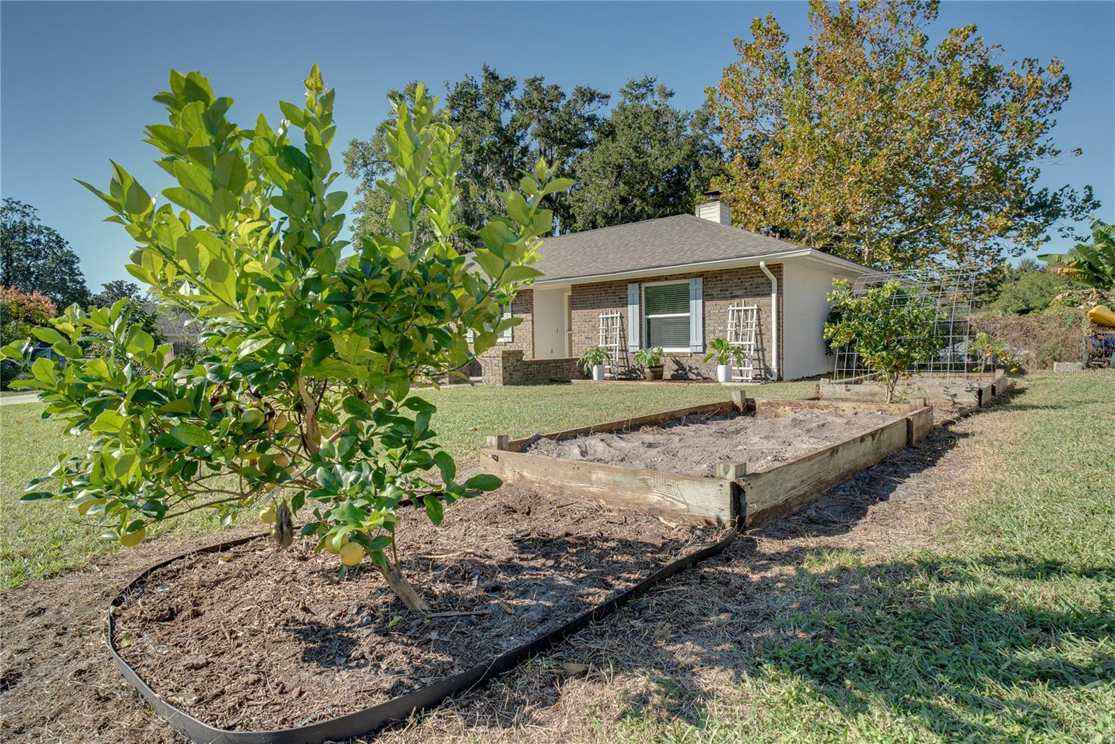 1436 COLUSO DR, WINTER GARDEN, FL, 34787