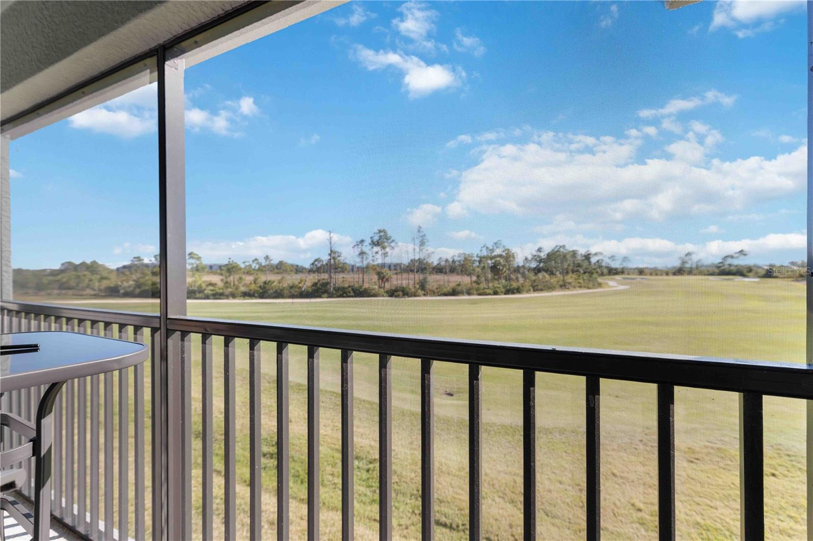 17440 OPAL SANDS DR #203, VENICE, FL, 34293