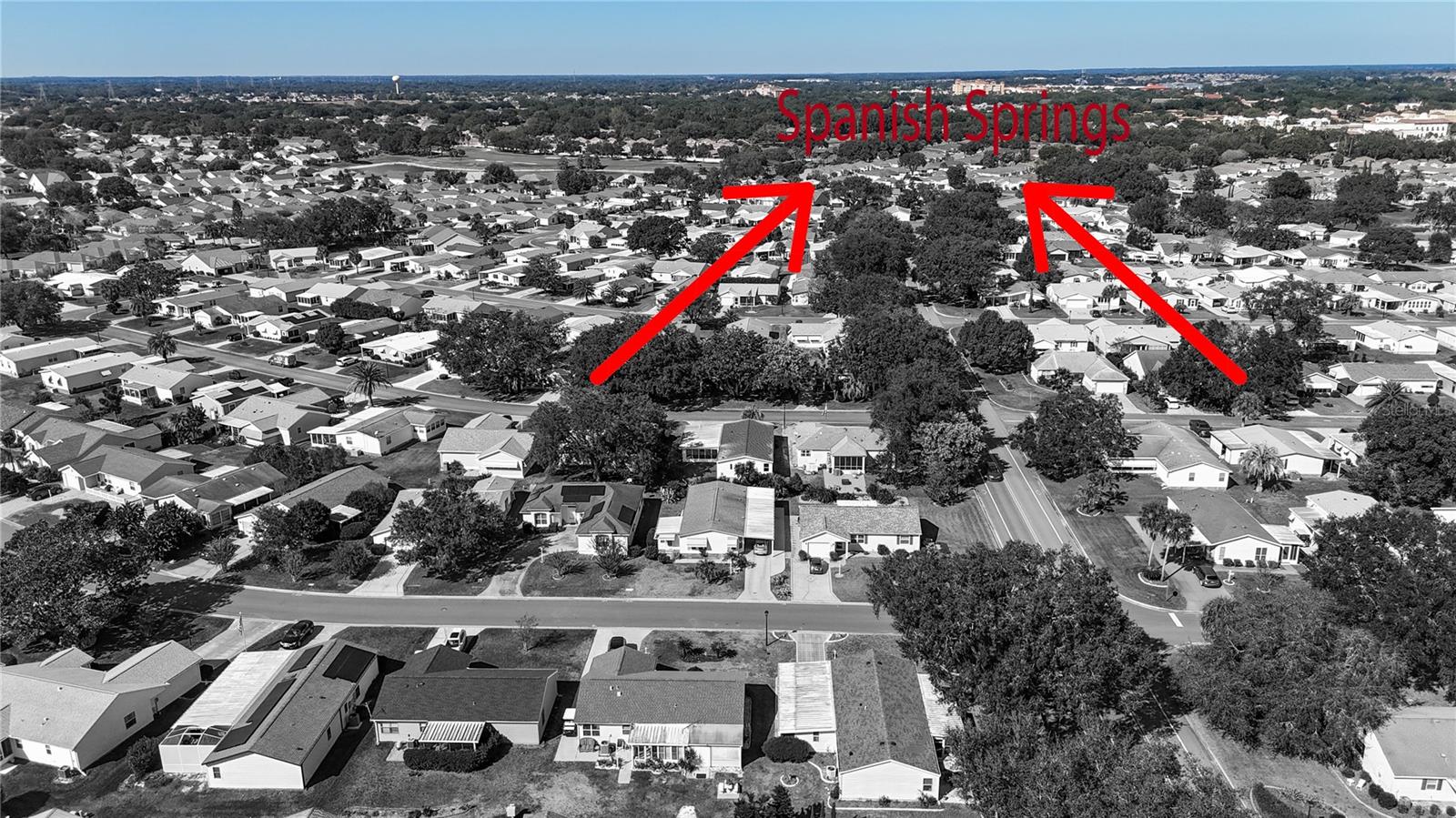 1202 DEL TORO DR, THE VILLAGES, FL, 32159