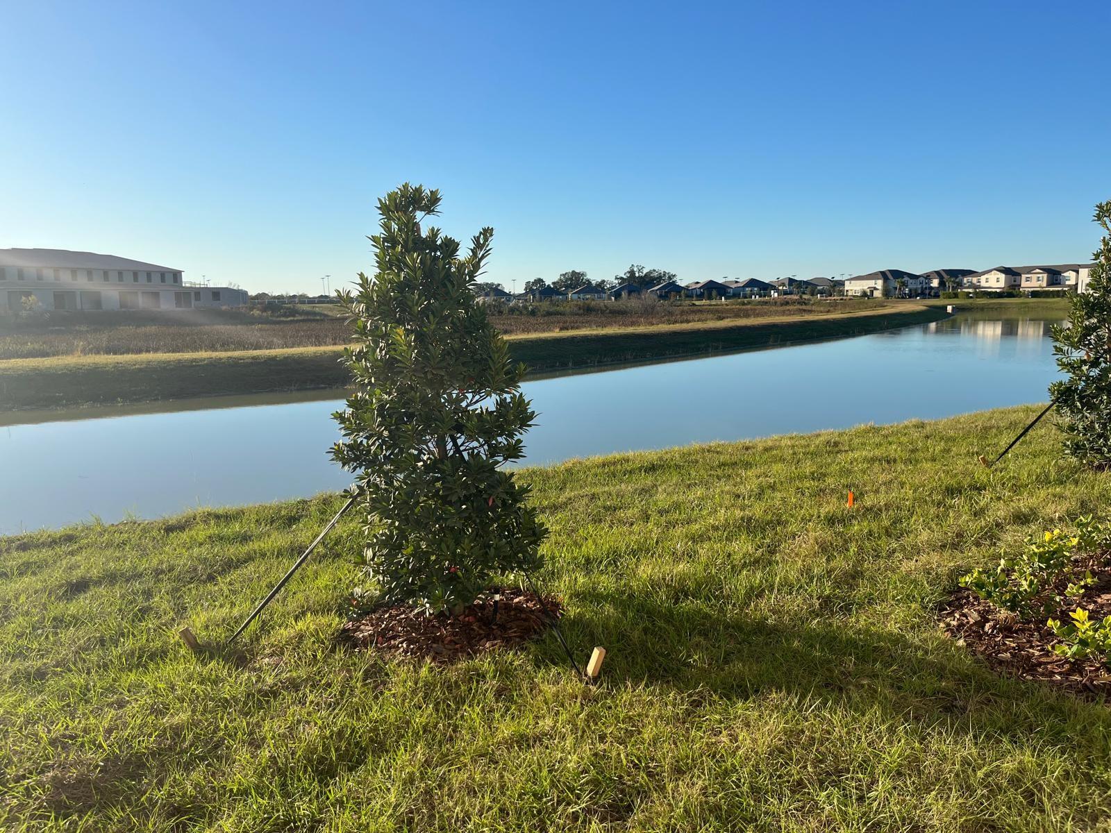 10137 HONEY HAMMOCK WAY, SAN ANTONIO, FL, 33576