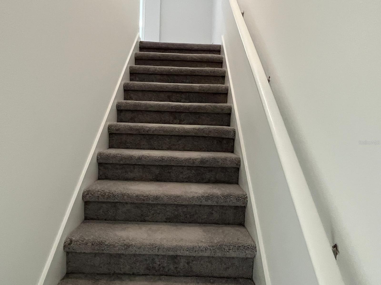 10137 HONEY HAMMOCK WAY, SAN ANTONIO, FL, 33576