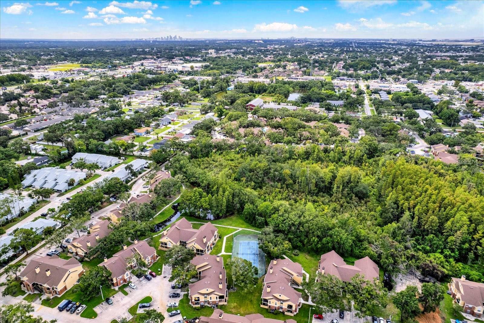 8613 MALLARD RESERVE DR #102, TAMPA, FL, 33614